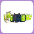 Kitten-098